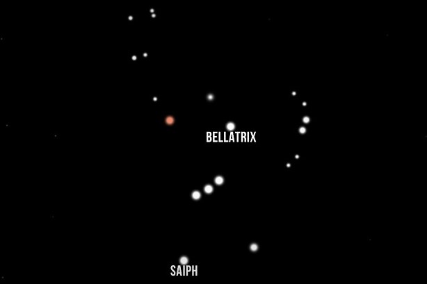bellatrix star0BE04AB0 F377 013A 4E59 FD10556A37C2